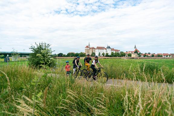 Fahrradfahrer auf dem Elbradweg mit Blick auf Torgau 