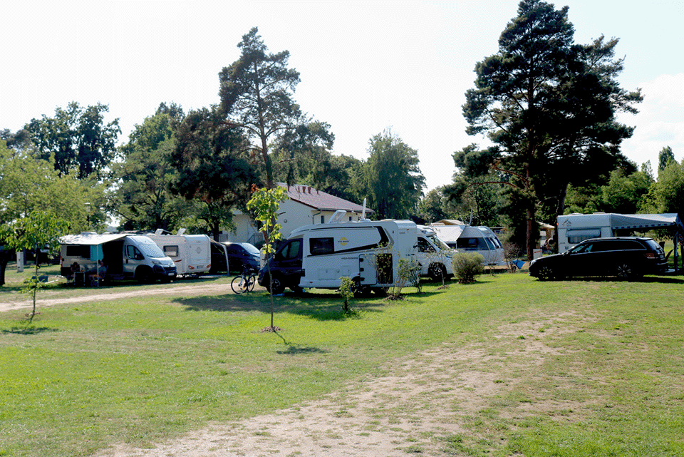auf einer Wiese stehende Wohnmobile bei sonnigem Wetter 